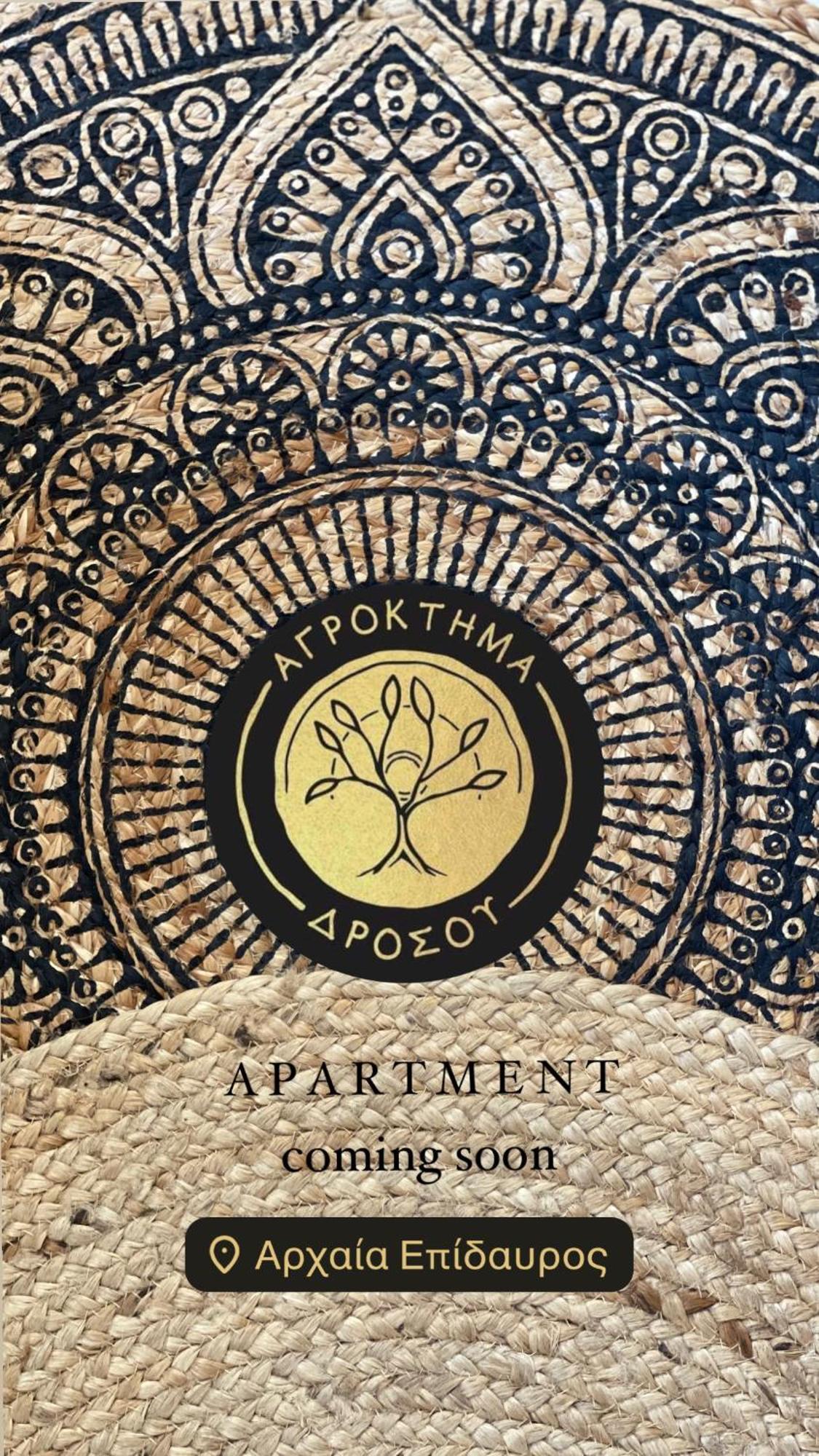 Agroktima Drosou Apartment 에피다우로스 외부 사진